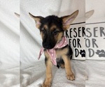 Image preview for Ad Listing. Nickname: Gladys