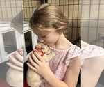 Small #1 Golden Retriever