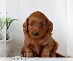 Image preview for Ad Listing. Nickname: Delaney