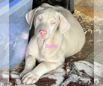 Image preview for Ad Listing. Nickname: White Girl