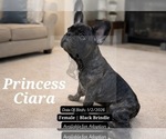Image preview for Ad Listing. Nickname: Princess Ciara