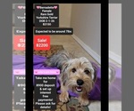 Image preview for Ad Listing. Nickname: Bernadette