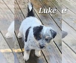 Image preview for Ad Listing. Nickname: Luke