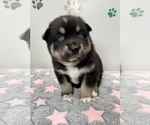 Image preview for Ad Listing. Nickname: Cute Boy 2
