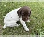 Image preview for Ad Listing. Nickname: Cash