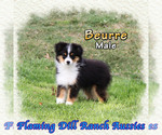 Image preview for Ad Listing. Nickname: Beurre