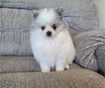 Image preview for Ad Listing. Nickname: Finn