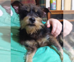 Small #3 Breeder Profile image