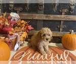Image preview for Ad Listing. Nickname: Mary Ann