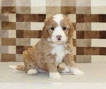 Image preview for Ad Listing. Nickname: Frank