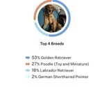Small Photo #1 Goldendoodle (Miniature) Puppy For Sale in GROVE CITY, OH, USA