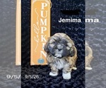 Image preview for Ad Listing. Nickname: Jemima