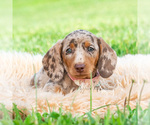  - Photo #2