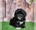 Small #2 Poovanese