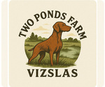 Small #15 Vizsla