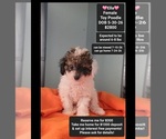 Image preview for Ad Listing. Nickname: Ella
