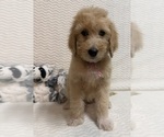 Image preview for Ad Listing. Nickname: Martha