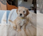 Image preview for Ad Listing. Nickname: Mars
