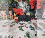  - Photo #2