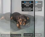 Image preview for Ad Listing. Nickname: Marcus