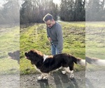 Small #3 Newfoundland