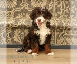 Image preview for Ad Listing. Nickname: Honey