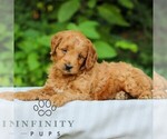 Image preview for Ad Listing. Nickname: Legend