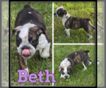 Image preview for Ad Listing. Nickname: Beth