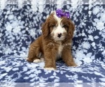 Image preview for Ad Listing. Nickname: Luna