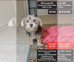 Image preview for Ad Listing. Nickname: Bernadette