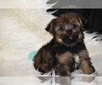 Image preview for Ad Listing. Nickname: Ian