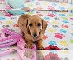 Image preview for Ad Listing. Nickname: Heidi