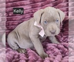 Image preview for Ad Listing. Nickname: Kelly