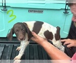 Image preview for Ad Listing. Nickname: Male 3