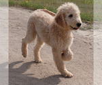 Image preview for Ad Listing. Nickname: York