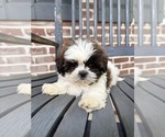Image preview for Ad Listing. Nickname: Taz