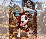 Pirate - Male Jack Russell Terrier-Unknown Mix Dog for Adoption - Small photo