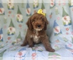 Image preview for Ad Listing. Nickname: Spirit