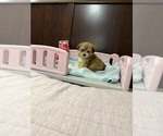 Image preview for Ad Listing. Nickname: Jen