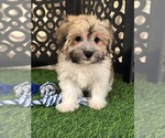 Image preview for Ad Listing. Nickname: Buddy