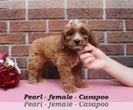 Image preview for Ad Listing. Nickname: Pearl