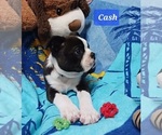 Image preview for Ad Listing. Nickname: Cash