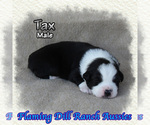 Image preview for Ad Listing. Nickname: Tax
