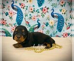 Image preview for Ad Listing. Nickname: Mini Marla