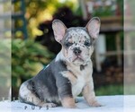 Image preview for Ad Listing. Nickname: Diesel