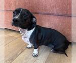 Small #1 Bo-Dach