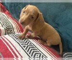 Image preview for Ad Listing. Nickname: Nausica