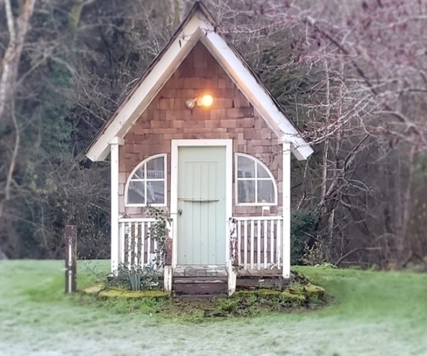 Medium Photo #33 Borador Puppy For Sale in FORTUNA, CA, USA