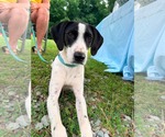 Small #1 Breeder Profile image