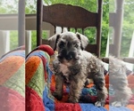Image preview for Ad Listing. Nickname: Uno